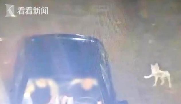 河南新乡防汛救灾 紧急救援通道 网红明星涌入_网红明星热点近期,