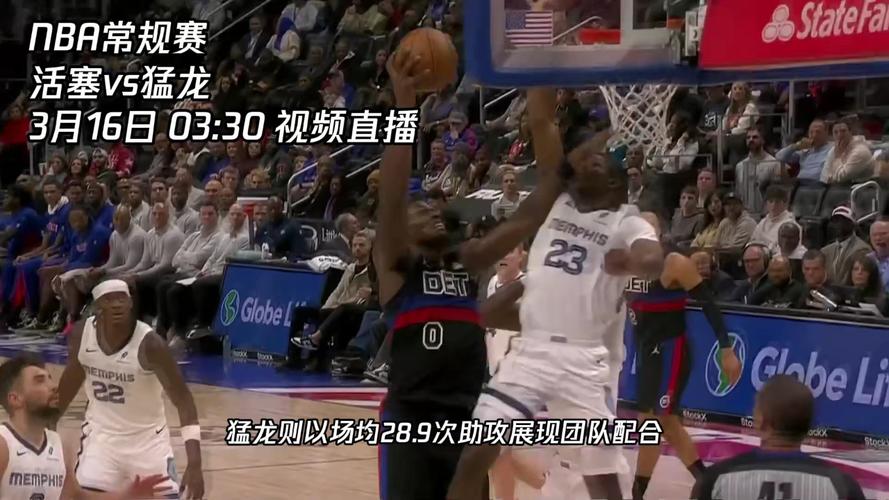 猛龙完整版在线观看_《猛龙》高清在线观看_猛龙在线播放完整版