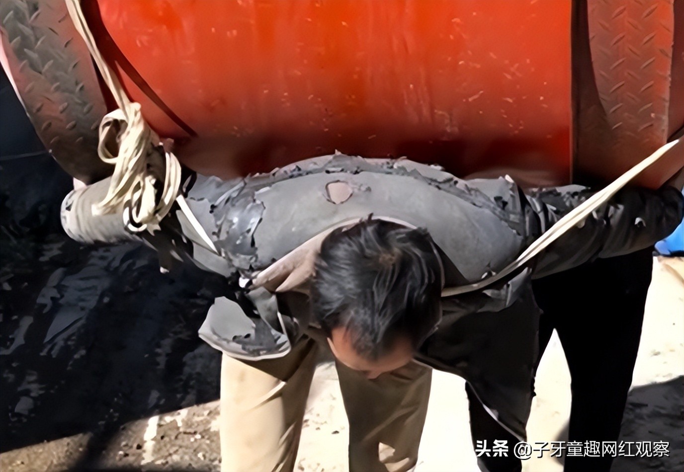 云南做黑暗料理网红,_云南老汉老杨 黑暗料理 网红