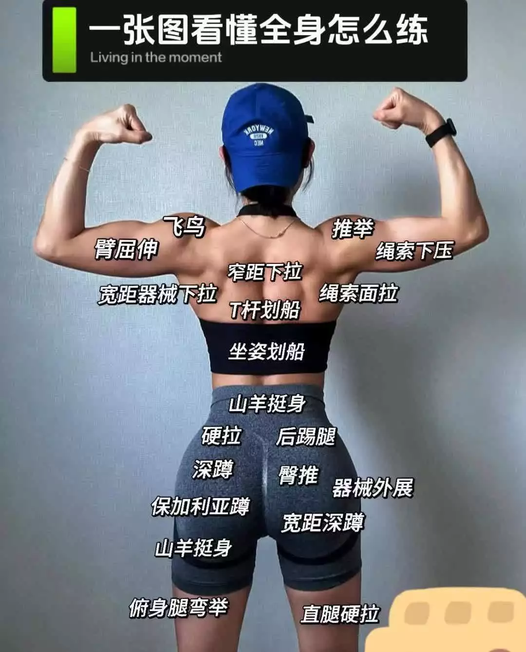 女明星胸部_健身塑形技巧_女性身材线条