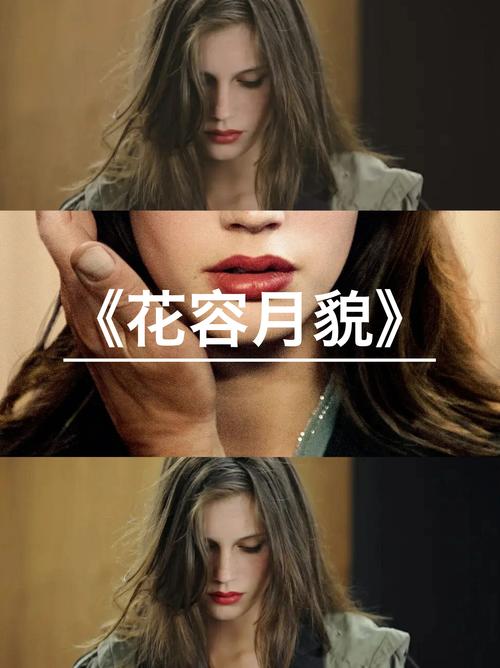 花容月貌未减_花容月貌 在线观看_貌月容花小说集