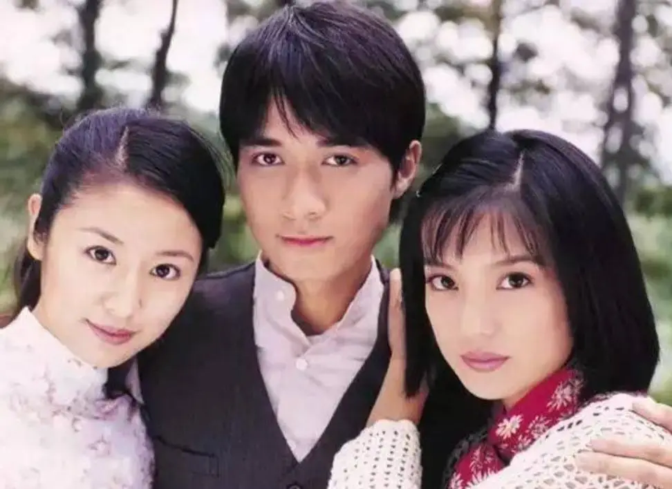 林心如被黑原因_林心如网络指责_哪些明星没有绯闻和实锤黑料,
